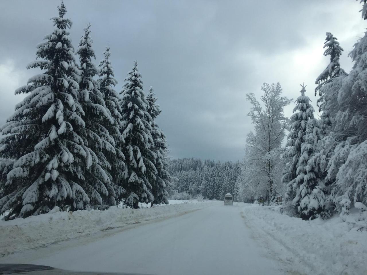 Котедж Смерекова Хата- Пилипець Kelechin Extérieur photo